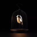 DaqiConcept - JINGOO - Enceinte lumineuse Silver Swan