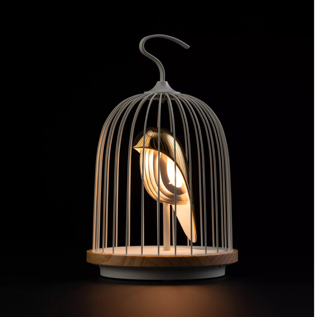 DaqiConcept - JINGOO - Enceinte lumineuse The White Phoenix