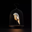DaqiConcept - JINGOO - Enceinte lumineuse White Hwamei