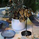 Zafferano - PINA - Lampe rechargeable