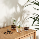 DHS - GROW - Mini serre 