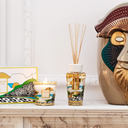 Baobab - RIO - Box cadeau