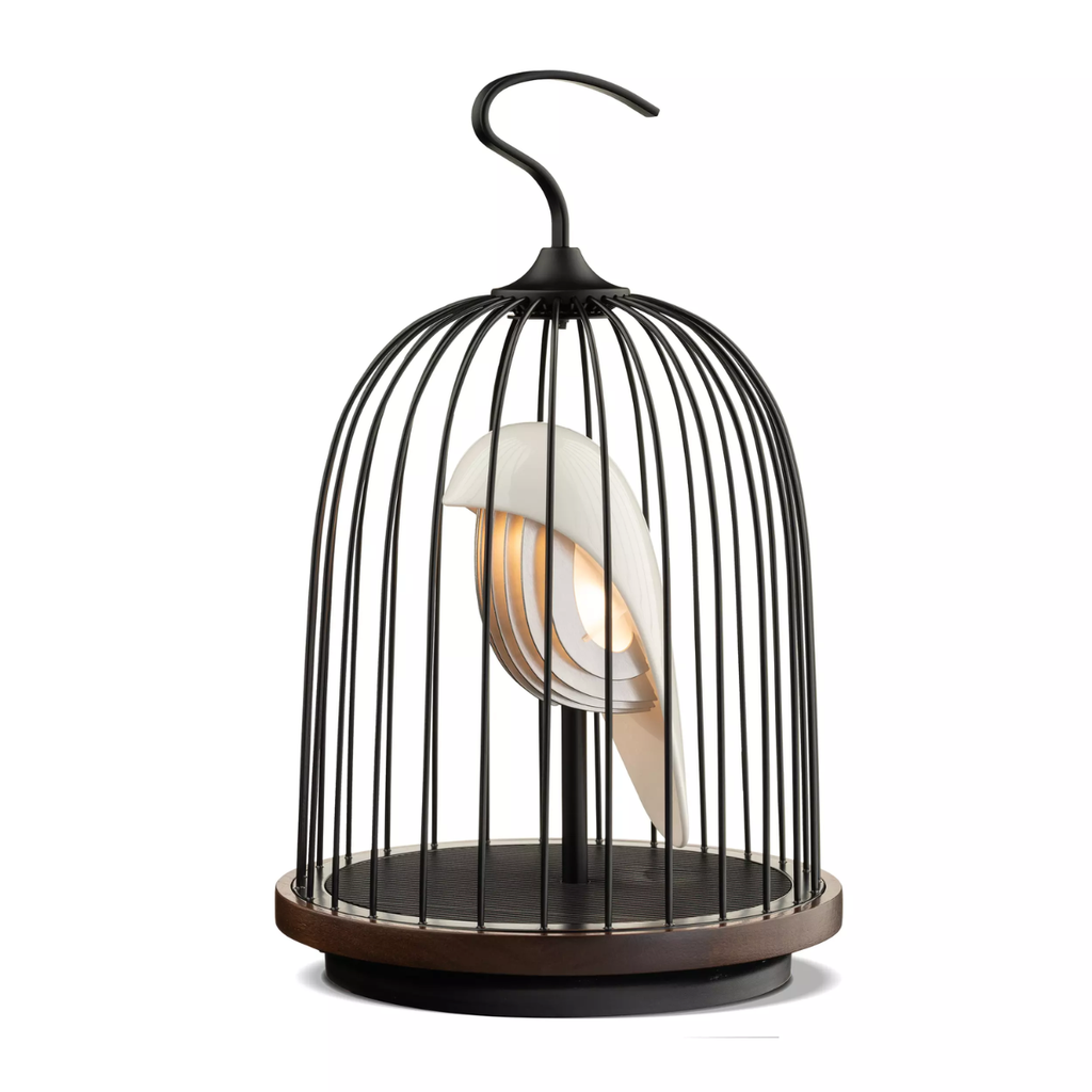 DaqiConcept - Enceinte lumineuse "JINGOO White Hwamei"