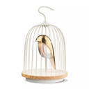 DaqiConcept - Enceinte lumineuse "JINGOO The White Phoenix"