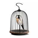 DaqiConcept - Enceinte lumineuse "JINGOO Silver Swan"