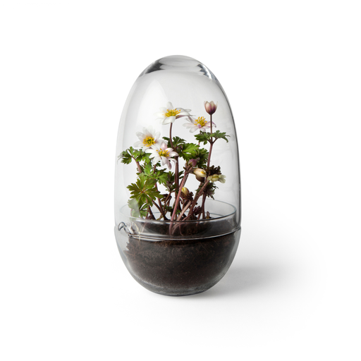 DHS - Mini serre "GROW"